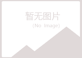 延安宝塔雪青能源有限公司